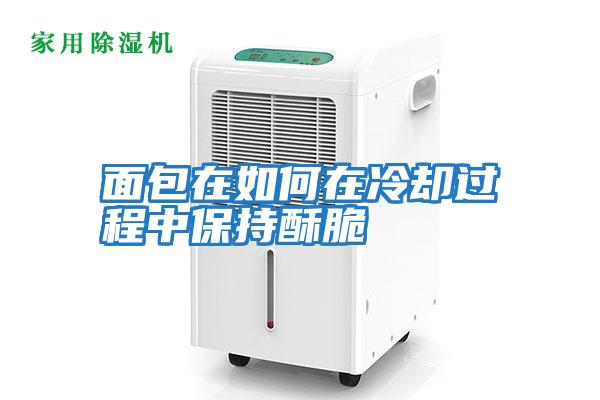 面包在如何在冷卻過(guò)程中保持酥脆