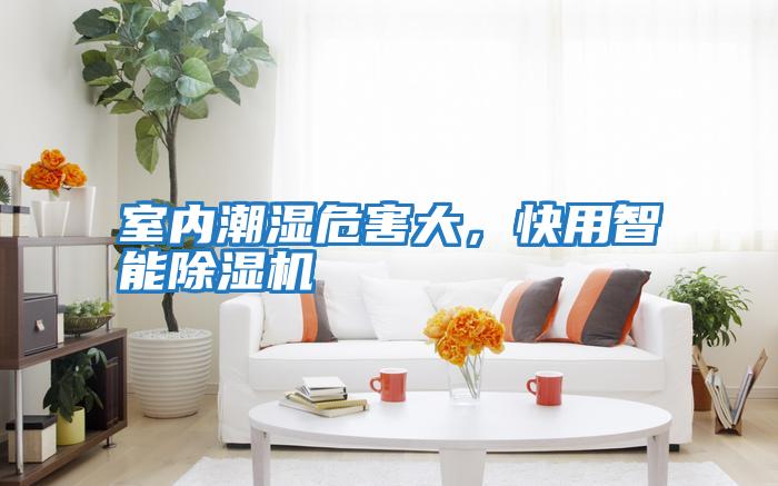 室內潮濕危害大，快用智能除濕機