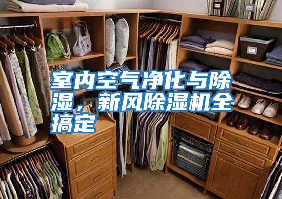 室內空氣凈化與除濕，新風除濕機全搞定
