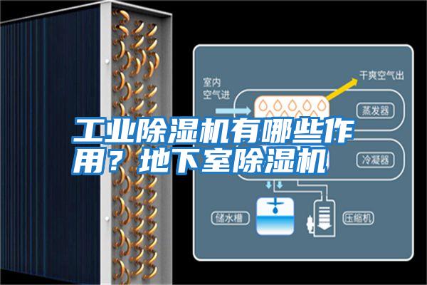 工業(yè)除濕機(jī)有哪些作用？地下室除濕機(jī)
