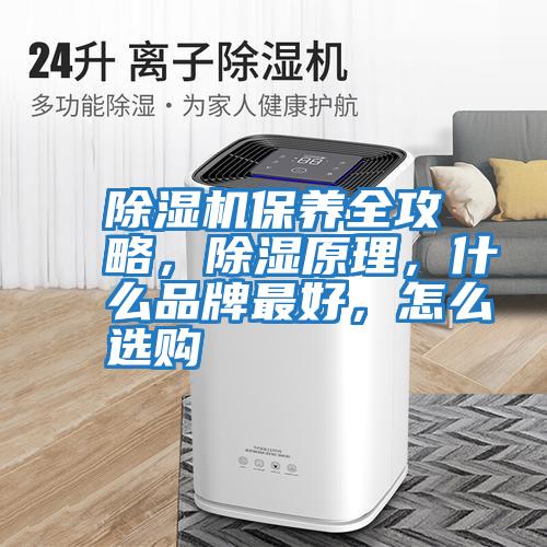 除濕機保養全攻略，除濕原理，什么品牌最好，怎么選購