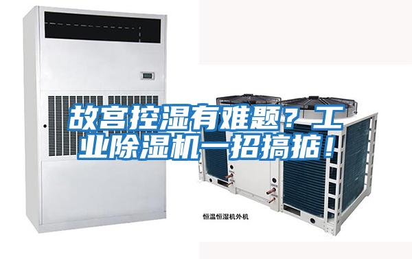 故宮控濕有難題?工業(yè)除濕機一招搞掂!