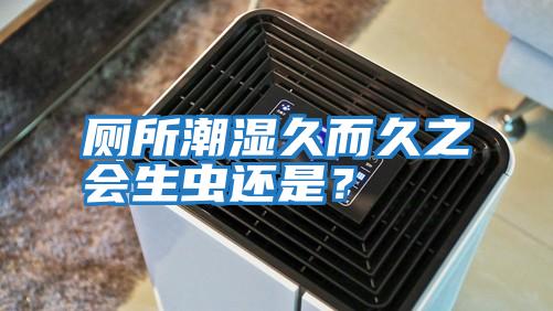 廁所潮濕久而久之會(huì)生蟲還是?