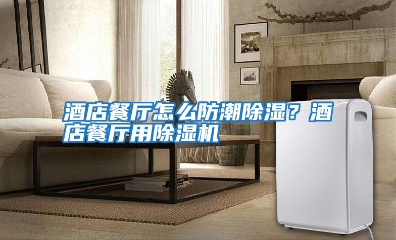 酒店餐廳怎么防潮除濕？酒店餐廳用除濕機