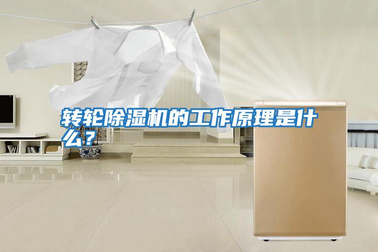 轉輪除濕機的工作原理是什么？