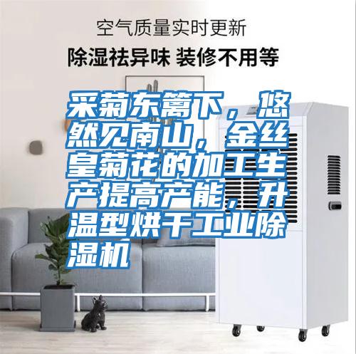 采菊東籬下，悠然見南山，金絲皇菊花的加工生產提高產能，升溫型烘干工業除濕機
