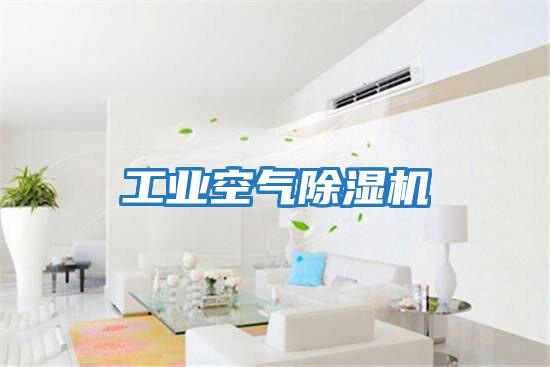 工業空氣除濕機