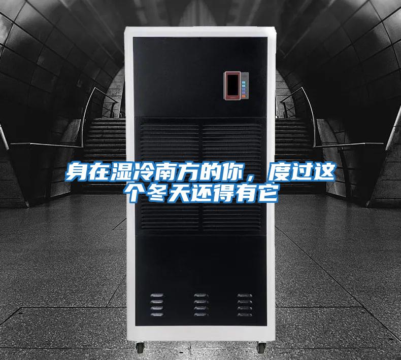 身在濕冷南方的你,度過這個冬天還得有它