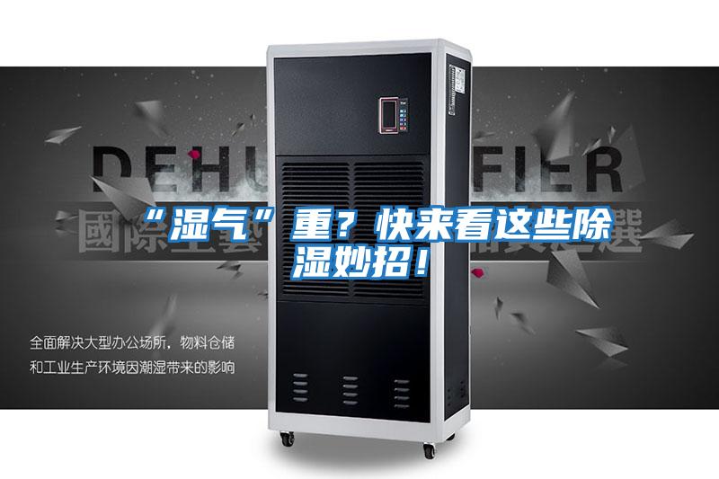 “濕氣”重？快來(lái)看這些除濕妙招！