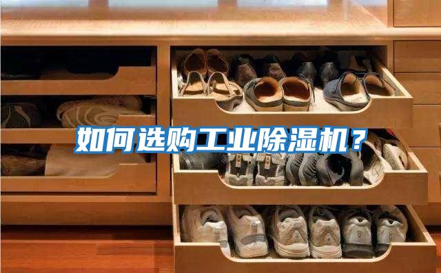 如何選購工業除濕機？