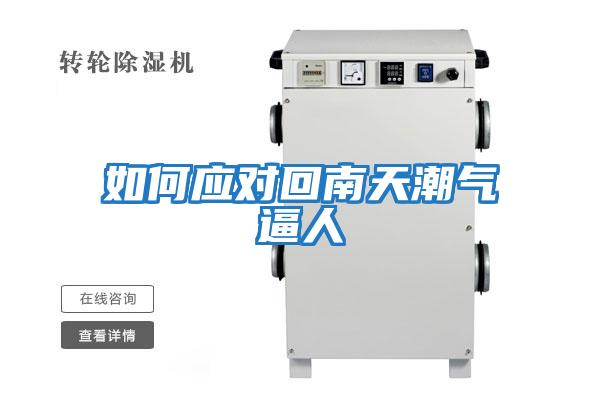 如何應對回南天潮氣逼人
