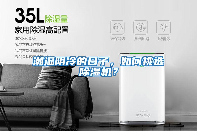 潮濕陰冷的日子,如何挑選除濕機(jī)?