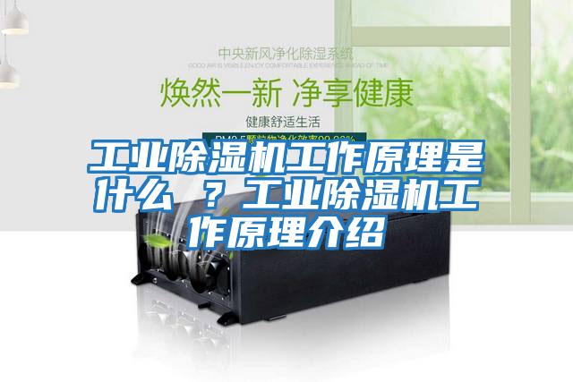 工業除濕機工作原理是什么 ？工業除濕機工作原理介紹