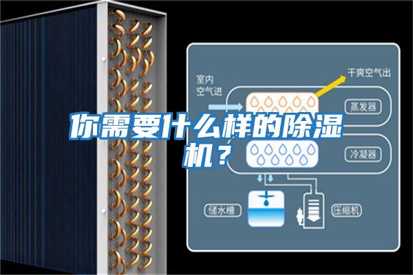 你需要什么樣的除濕機？