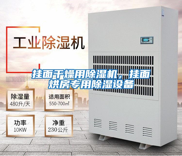 掛面干燥用除濕機，掛面烘房專用除濕設備