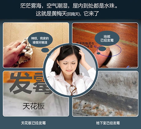 恒濕機(jī)多少錢(qián)一臺(tái)？高性價(jià)比恒濕機(jī)