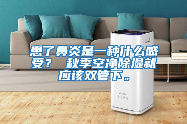 患了鼻炎是一種什么感受? 秋季空凈除濕就應該雙管下。