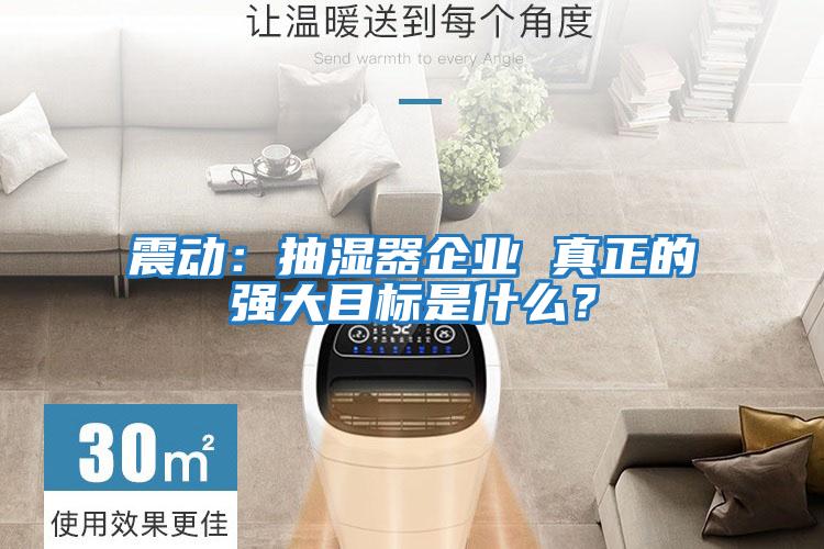 震動(dòng):抽濕器企業(yè) 真正的強(qiáng)大目標(biāo)是什么?