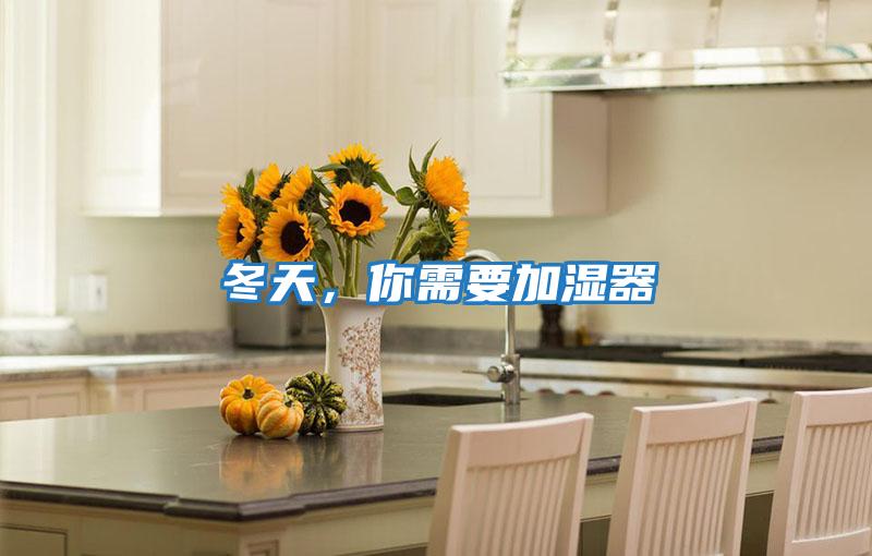 冬天,你需要加濕器