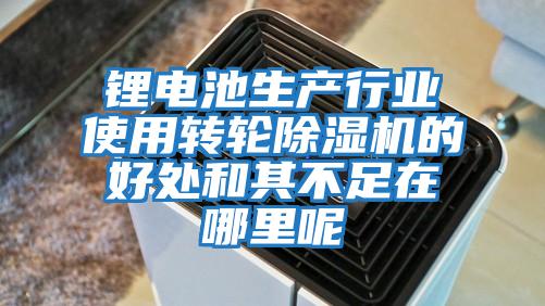 鋰電池生產行業(yè)使用轉輪除濕機的好處和其不足在哪里呢