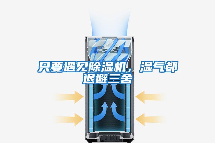 只要遇見除濕機，濕氣都退避三舍