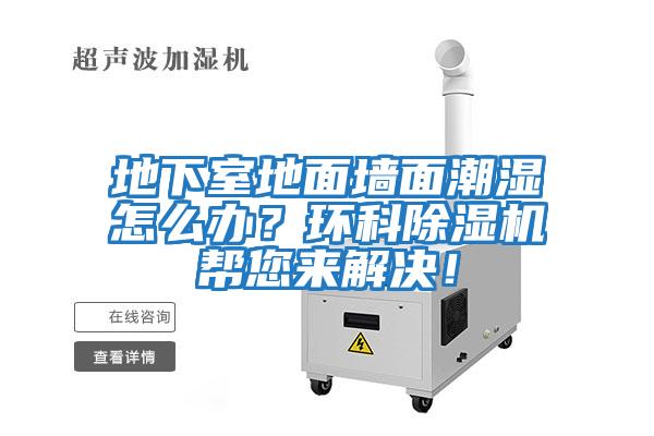 地下室地面墻面潮濕怎么辦？環科除濕機幫您來解決！