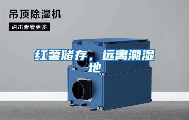 紅薯儲存，遠(yuǎn)離潮濕地