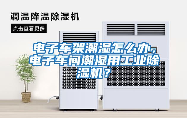 電子車架潮濕怎么辦，電子車間潮濕用工業(yè)除濕機？
