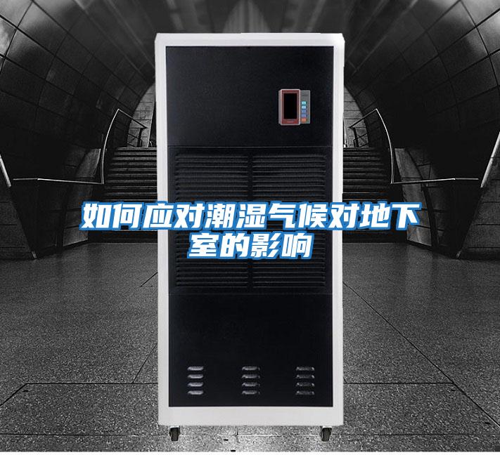 如何應對潮濕氣候對地下室的影響