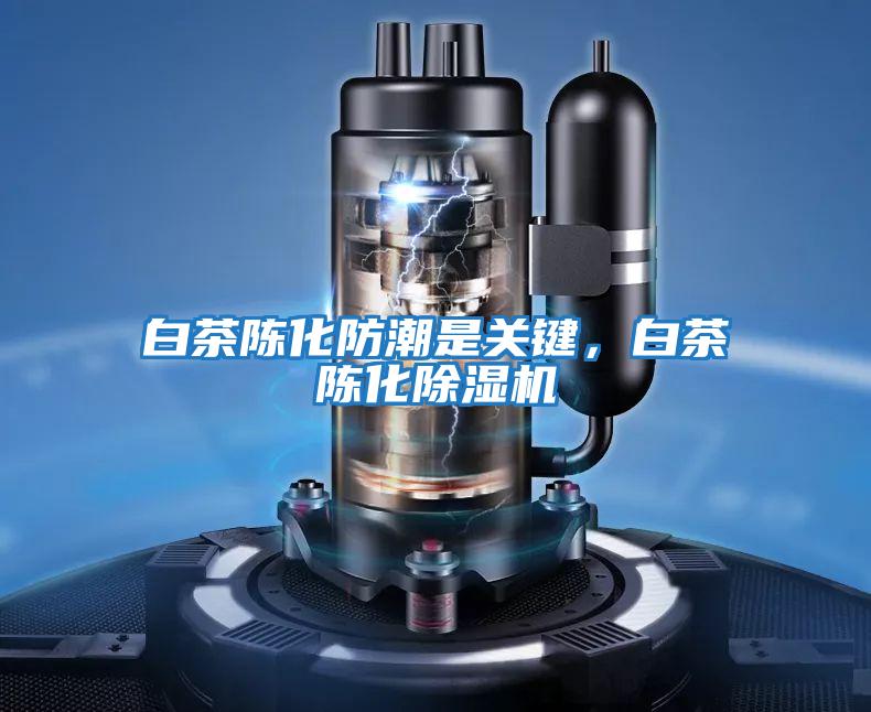 白茶陳化防潮是關鍵，白茶陳化除濕機