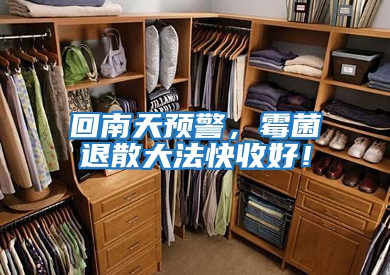 回南天預(yù)警,霉菌退散大法快收好!