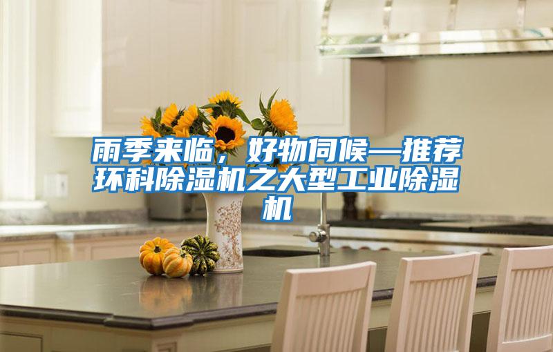雨季來臨，好物伺候—推薦環科除濕機之大型工業除濕機