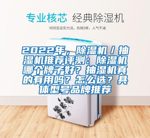 2022年，除濕機／抽濕機推薦評測：除濕機哪個牌子好？抽濕機真的有用嗎？怎么選？具體型號品牌推薦