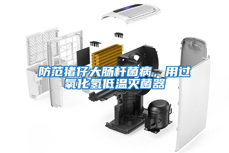 防范豬仔大腸桿菌病,用過氧化氫低溫滅菌器