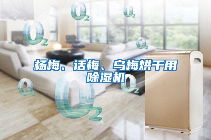 楊梅、話梅、烏梅烘干用除濕機(jī)