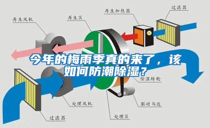 今年的梅雨季真的來了，該如何防潮除濕？