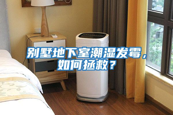 別墅地下室潮濕發霉，如何拯救？