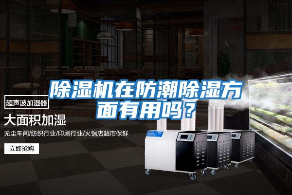 除濕機(jī)在防潮除濕方面有用嗎？