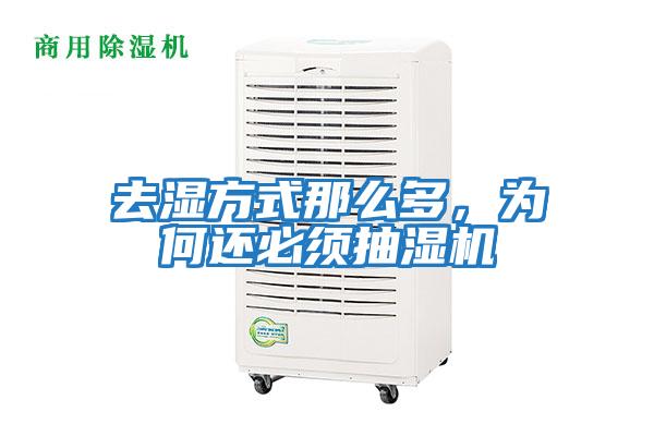 去濕方式那么多,為何還必須抽濕機(jī)
