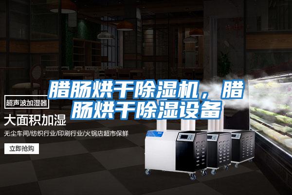 臘腸烘干除濕機,臘腸烘干除濕設備