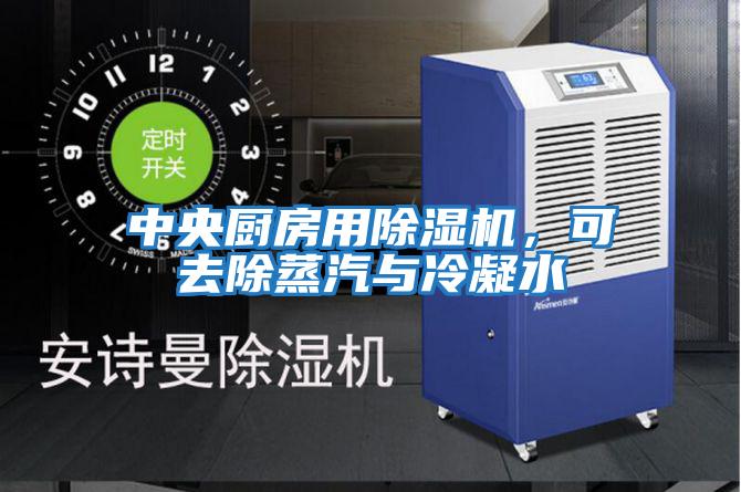 中央廚房用除濕機,可去除蒸汽與冷凝水