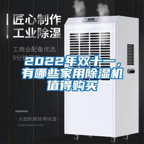 2022年雙十一,有哪些家用除濕機值得購買