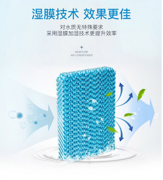 春天潮濕,教你家居防霉妙法