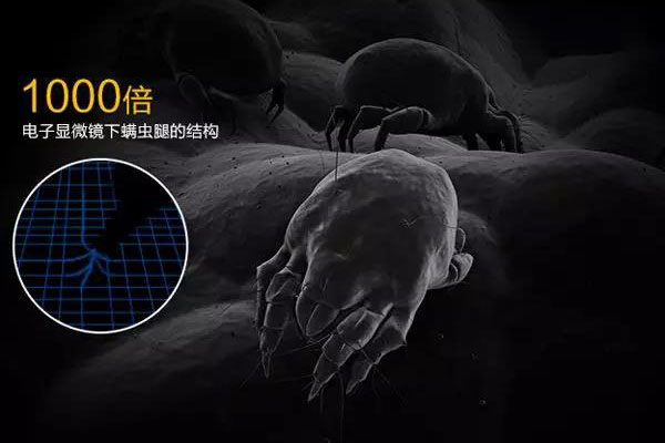 螨蟲高發(fā)季,家用除濕機除螨有妙計!_重復(fù)