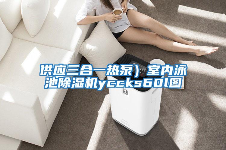 供應三合一熱泵）室內泳池除濕機yccks60l圖