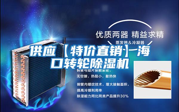 供應(yīng)【特價(jià)直銷(xiāo)】海口轉(zhuǎn)輪除濕機(jī)