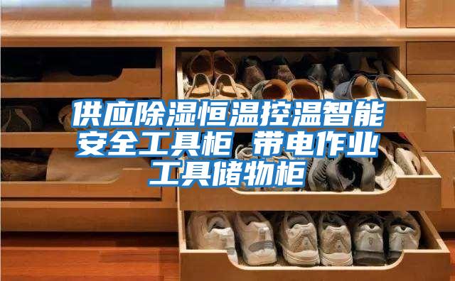 供應除濕恒溫控溫智能安全工具柜 帶電作業工具儲物柜