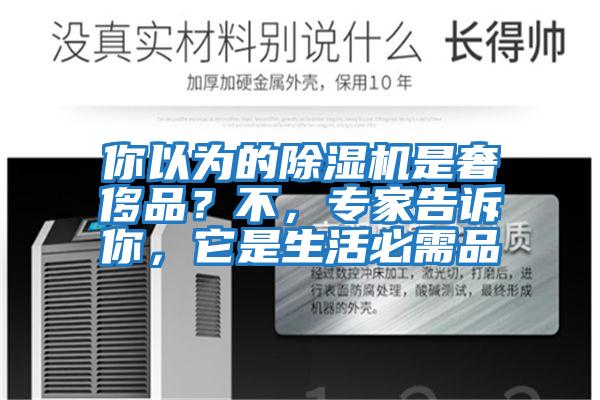 你以為的除濕機是奢侈品？不，專家告訴你，它是生活必需品