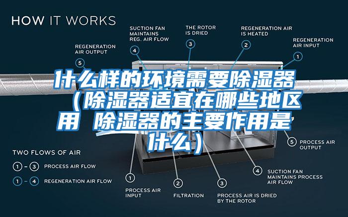 什么樣的環境需要除濕器（除濕器適宜在哪些地區用 除濕器的主要作用是什么）