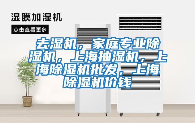 去濕機(jī)，家庭專業(yè)除濕機(jī)，上海抽濕機(jī)，上海除濕機(jī)批發(fā)，上海除濕機(jī)價(jià)錢(qián)